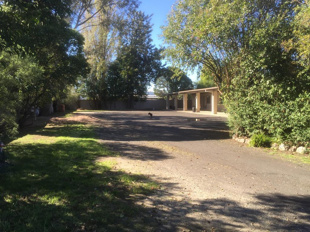 Murray Valley Motel ウォドンガ エクステリア 写真