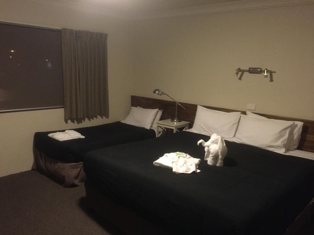 Murray Valley Motel ウォドンガ エクステリア 写真